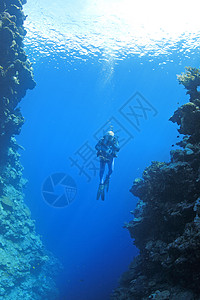 在水下陡峭的墙间游动索罗门群岛Uepi索罗图片