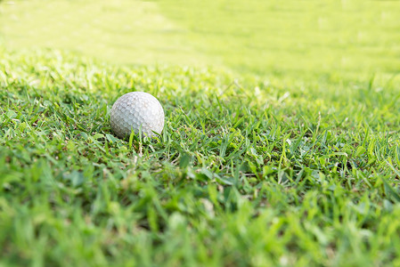 杯唇上的高尔夫球高尔夫球场绿草上的高尔夫球图片