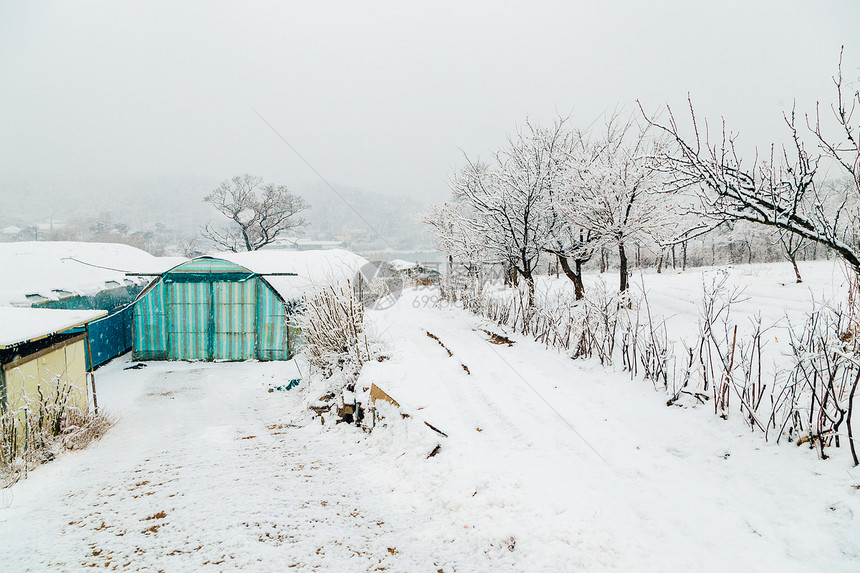 积雪的温室和冬天风景图片