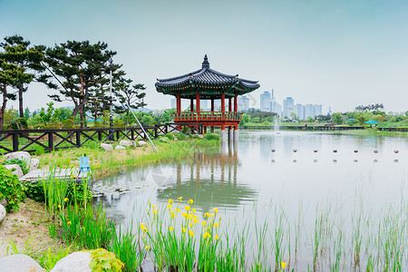 韩国大田汉巴特阿博雷图姆湖池塘图片