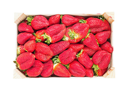 大型草莓平面板箱在Whit上隔背景图片