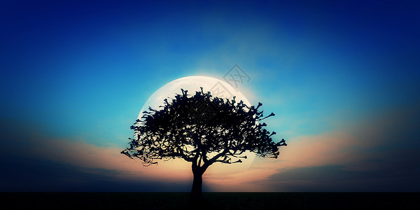 满月的树木图片