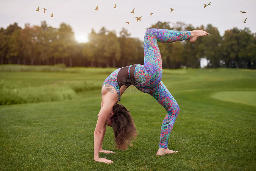 单身腿臀大桥年轻有吸引力的女青年练瑜伽站在架桥运动中一图片