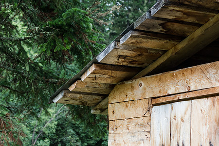 夏季森林中木屋顶的旅图片