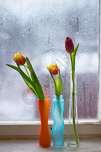 窗台上花瓶里的郁金香图片