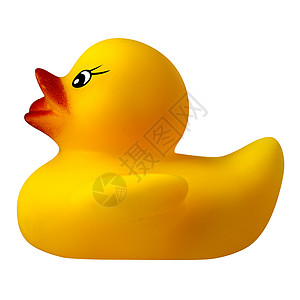 黄色橡皮鸭隔离背景图片