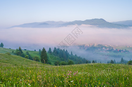 山谷中的晨雾夏季山景图片