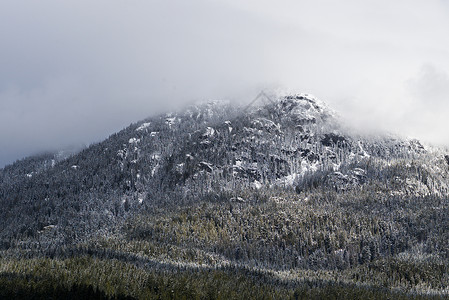 加拿大不列颠哥伦比亚省惠斯勒冬季图片