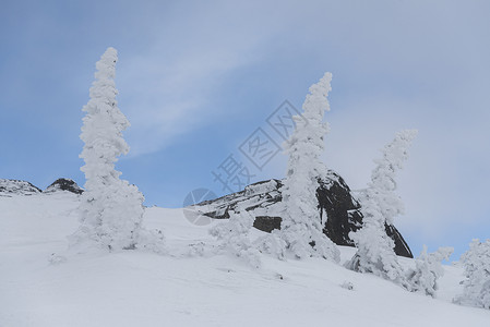 加拿大不列颠哥伦比亚省惠斯勒冬季雪盖山的冰图片