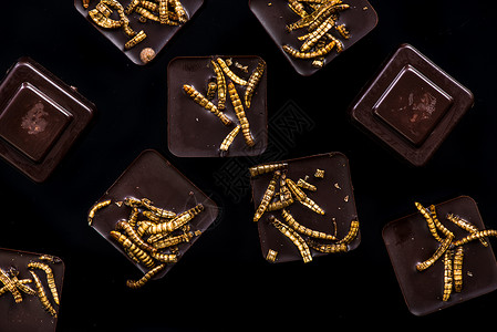 巧克力和可食用蠕图片