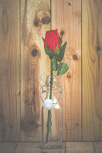 画室拍摄的玫瑰花图片