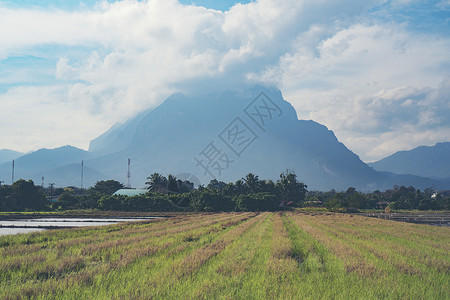 泰国清道公园图片