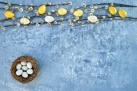 复活节背景蓝色背景上的柳枝和装饰复活节彩蛋顶视图片