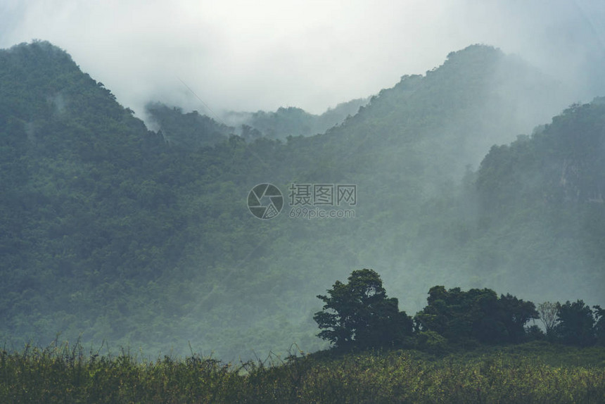 热带雨林世界遗产地图片