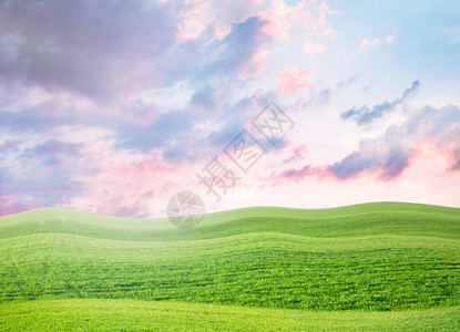 夏日绿野风景图片
