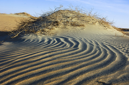 RubAlKhali沙漠的图片