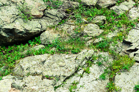 夏日岩石中的山绿草图片