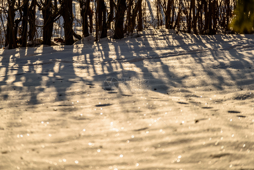 冬季在农村的木板栅栏细节有许多雪图片