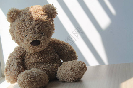 坐在窗边阴影中的棕熊玩具图片