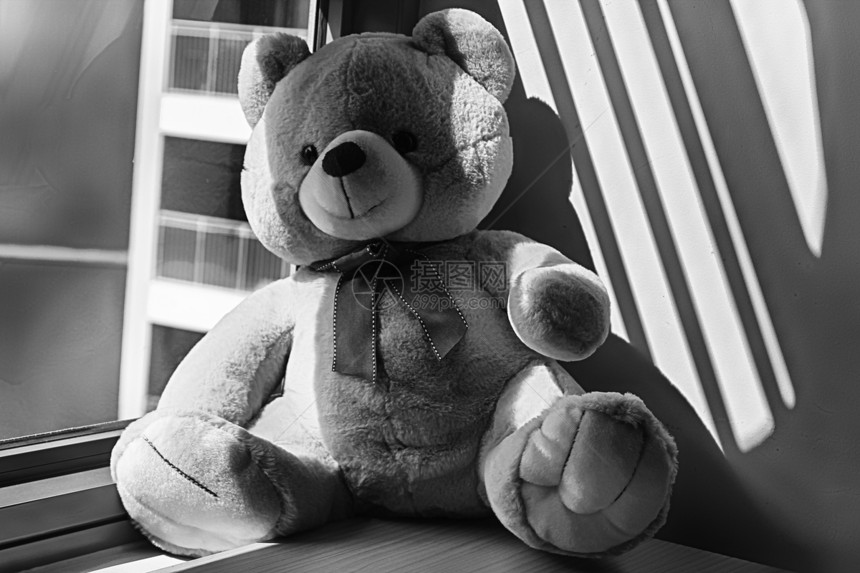 阴影中坐在窗边的熊玩具图片
