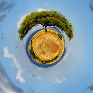 360度非洲美景观图片