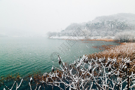 冬天的雪湖景观图片