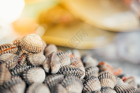 海产食品市场展示供销售的新鲜生海蛤高清图片