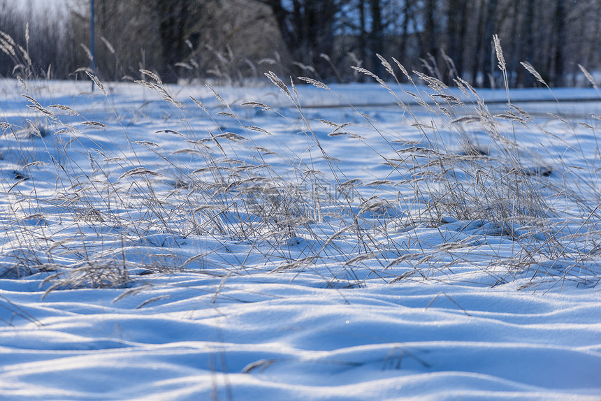 下雪时的阴影寒冬在寒冷的农图片