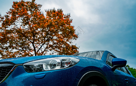 具有运动和现代设计的蓝色紧凑型SUV汽车停在蓝天和云彩的红色落叶树附近环保技术商业成背景图片