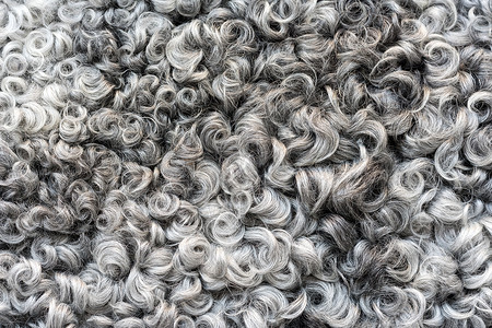 加里羊毛质地背景棉绒灰色羊毛深色蓬图片