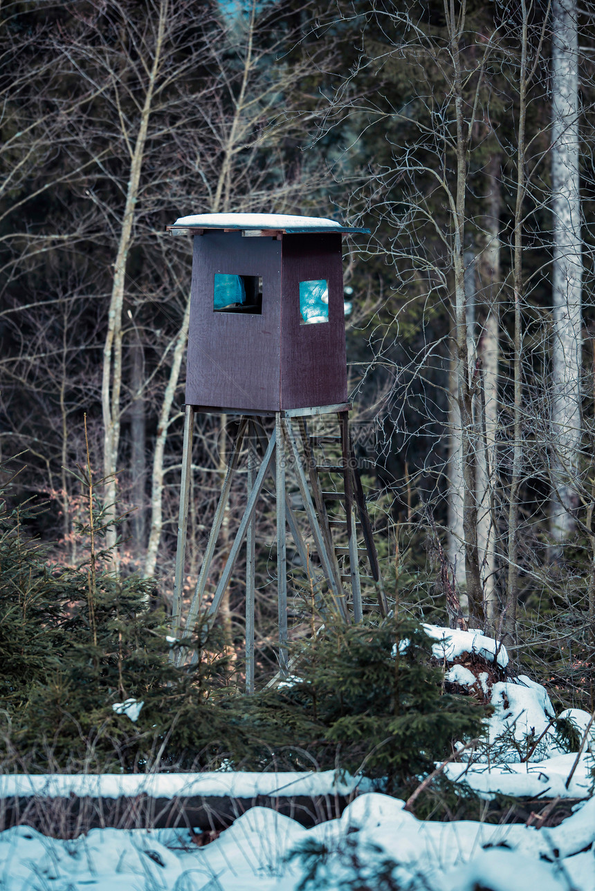 冬季森林中的狩猎站德国温特贝格图片