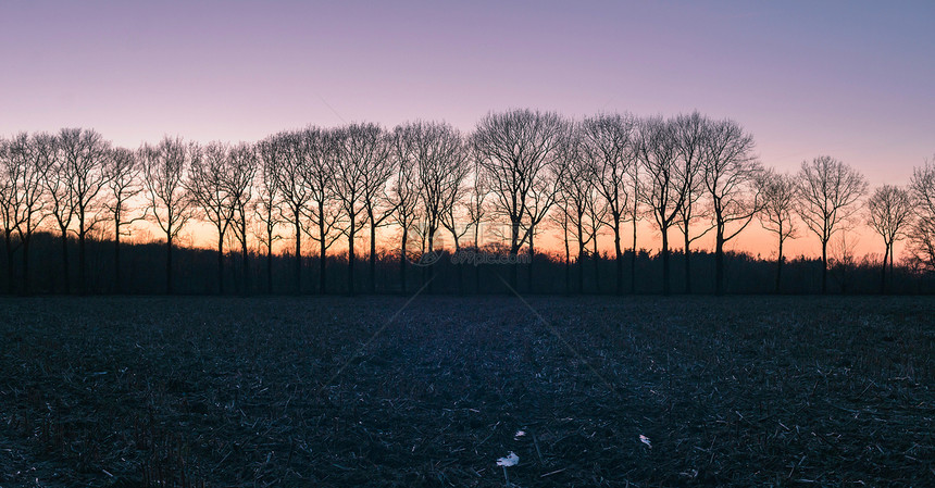 在日落时的农村风景中图片