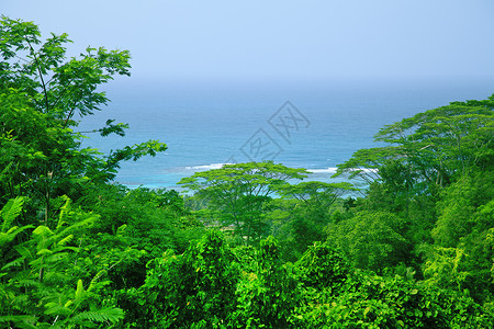越南中部岘港度假村附近的南海翡翠水和岩石海岸图片