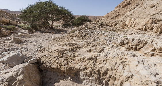 以色列内盖夫沙漠的岩石山丘以色列南部沙漠中沙漠岩图片