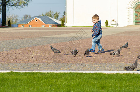 男孩在公园里追着鸽子跑图片