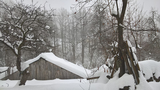 英语集训令美丽的雪过后村里令背景