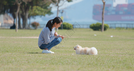 妇女与她的狗一起训练图片