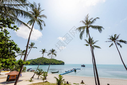 红其拉普KoWuaTaLap岛海滩和大海上美丽的自然景观椰子树泰国素叻府MuAngThong海洋公园背景
