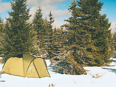 冬天在森林中的雪上露营绿色帐篷隐藏在树图片