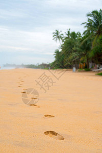 沿海地带沙滩上的脚印背景图片