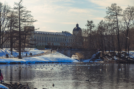 圣彼得堡郊区的公园背景图片