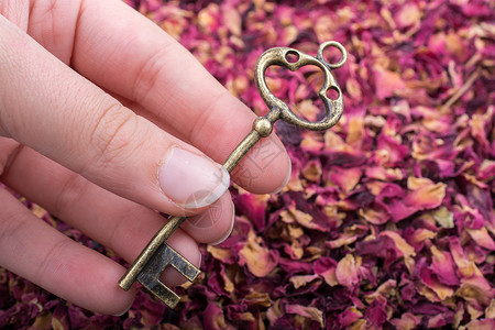 干玫瑰花瓣背景上的复古钥匙图片