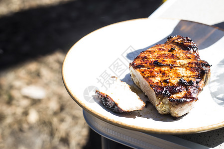 猪肉牛排在野餐室外野餐的盘子上的烤炉上煮熟图片