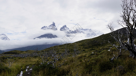CerroPaineGrande和云中山峰图片