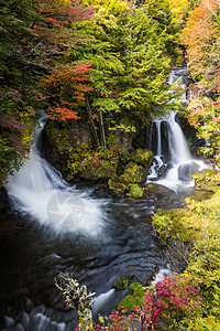 秋季日光国立公园的龙津瀑布景观图片
