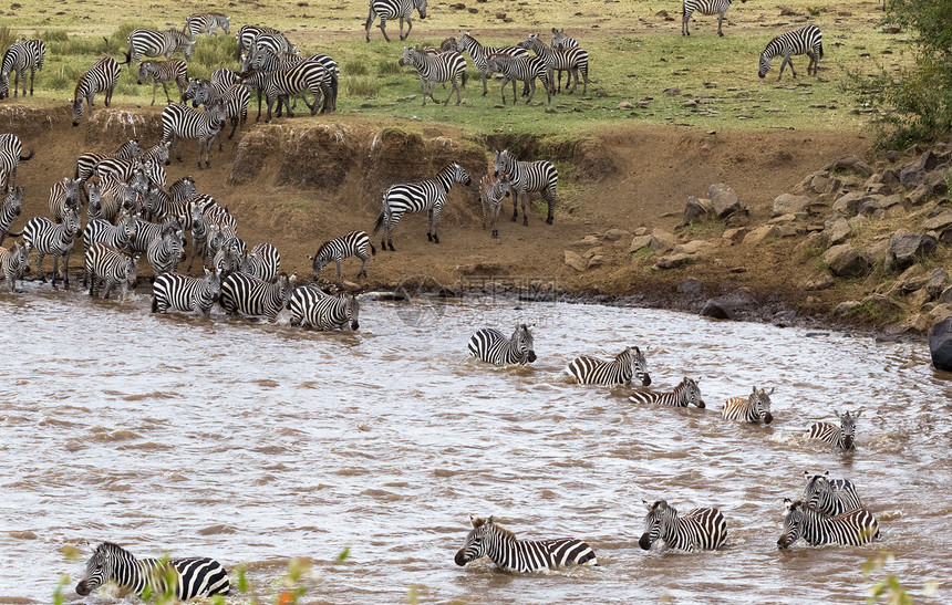 穿越非洲肯尼亚的马拉河图片