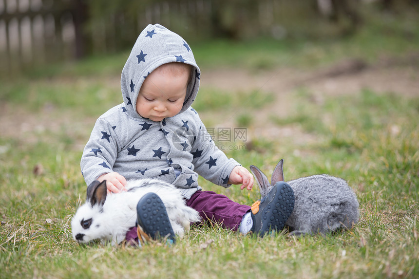 可爱的小男孩和兔子宠物一起玩图片