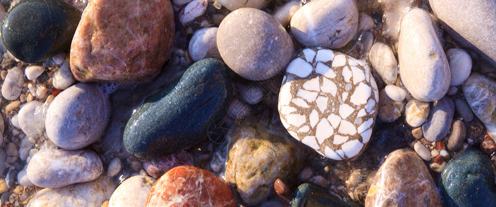 圆形彩色海卵石的背景特写图片