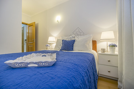 用白色和蓝色靠垫装饰优雅卧室图片