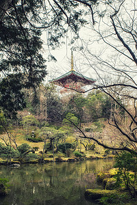 从寺院花园中看到的大藤即大殿背景图片